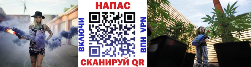 где купить наркоту  Аркадак  Бошки Шишки AK-47 